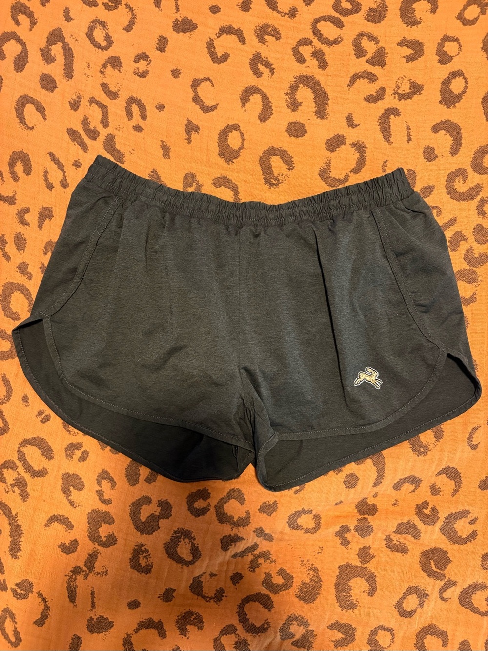 Tracksmith shorts
